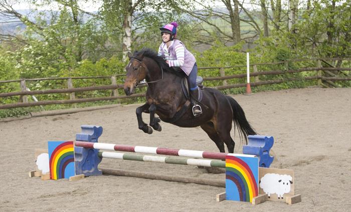 Horse Riding Lessons